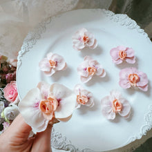 Load image into Gallery viewer, CLASS B 奧斯汀玫瑰,向日葵,櫻花,蝴蝶蘭,牡丹,玫瑰 —Lazy Mini Cupcakes (韓式裱花溫習課程)