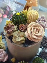 Load image into Gallery viewer, Lazy Succulent
