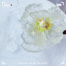 將圖片載入圖庫檢視器 Lazy Crystal Workshop