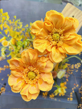 將圖片載入圖庫檢視器 韓國KPDA 協會~韓式裱花牛油忌廉導師證書課程(兩天)