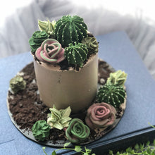 Load image into Gallery viewer, Lazy Succulent