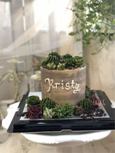 Load image into Gallery viewer, Lazy Succulent