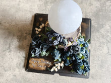 將圖片載入圖庫檢視器 Lazy Moon