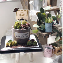 Load image into Gallery viewer, Lazy Succulent