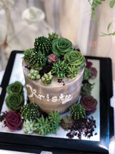 Load image into Gallery viewer, Lazy Succulent