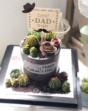 Load image into Gallery viewer, Lazy Succulent