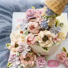 Load image into Gallery viewer, Lazy Cone