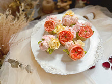 將圖片載入圖庫檢視器 韓國KCA 協會~1️⃣KCA Cupcakes 韓式裱花導師初階證書(Master Level 1)課程