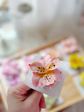 Load image into Gallery viewer, 中秋小禮盒（兩個一盒）韓式裱花月餅
